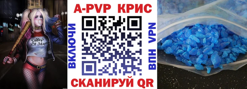 A PVP СК  Нововоронеж 