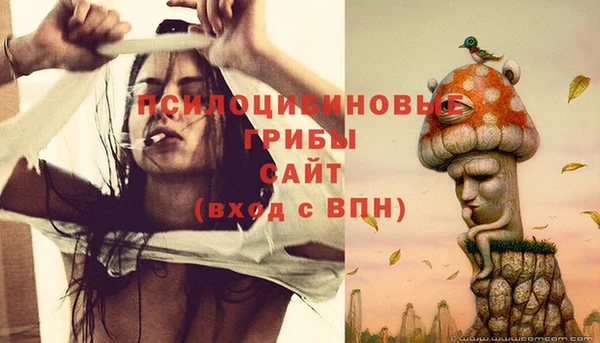 а пвп мука Аркадак